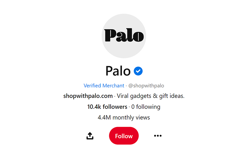 top-shopify-stores-16-shop-with-palo-pinterest-account